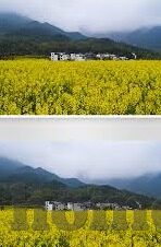 麻豆91大神-探访数字世界中的隐秘角落